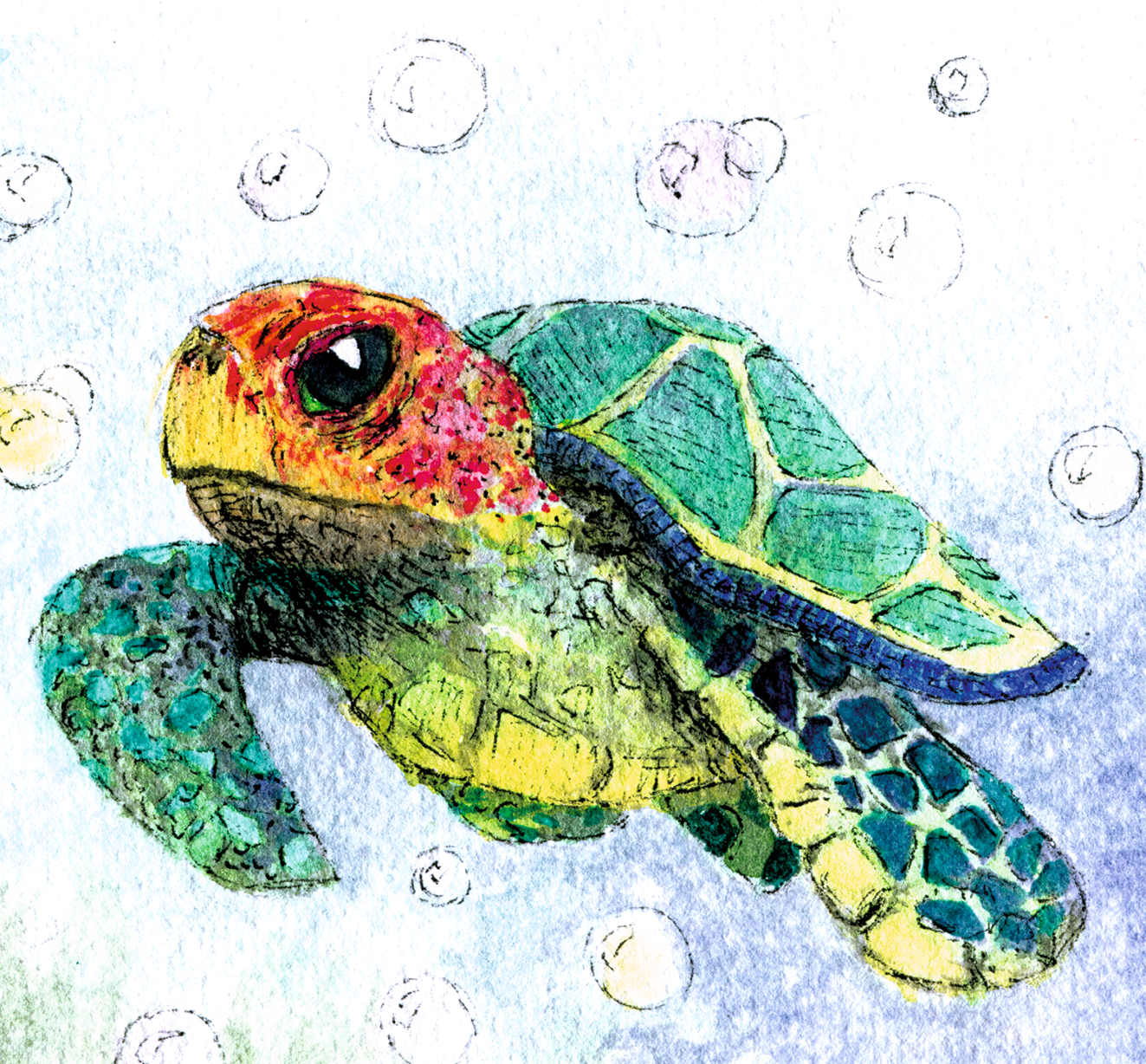 Aquarell Illustration "Meeresschildkröte"